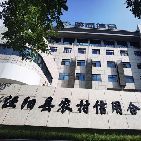 【信合党旗红·员工队伍红】喜报｜泾阳联社团委荣获“陕西省五四红旗团委”荣誉称号