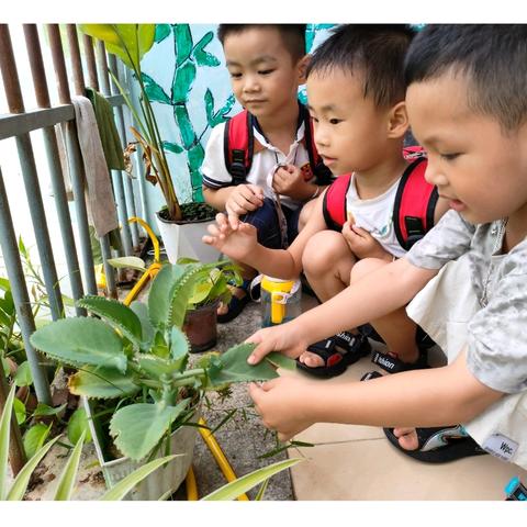 中一班6-7月美篇记录六月的风裹挟着童真的梦，七月的雨浇灌着成长的芽。在幼儿园这片充满爱与温暖的小天地里，孩子们如同夏日的小树苗，在阳光雨露中茁壮成长。让我们一同走进这段美好时光，见证那些闪闪发光的瞬