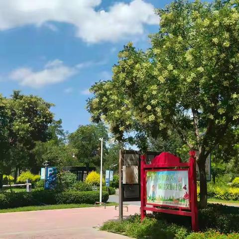 学府花都7月工作简报