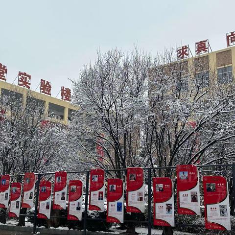 校园初雪｜天将暮 雪乱舞 半梅花半飘柳絮｜汉德园高二年级