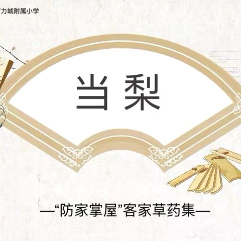 2025年秋妙笔书“话”社 ‍“防家掌屋”客家草药集——当梨