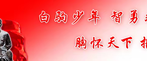 为快乐运动保驾护航——海南白驹学校第七届运动会暨体育节流程安排