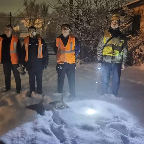 以雪为令，闻雪行动