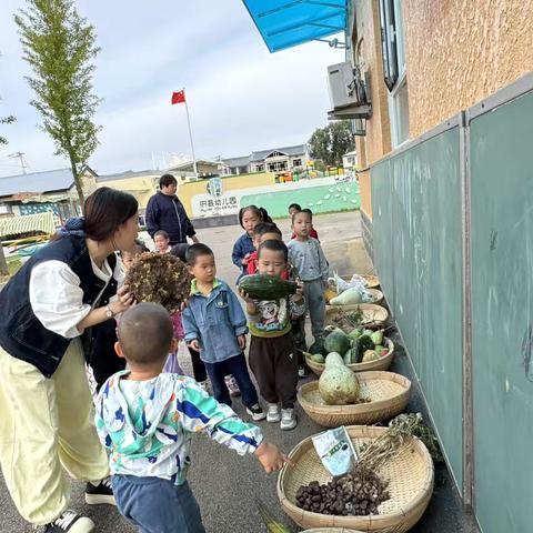 晒秋实 享秋趣——旧县幼儿园小一班“晒秋”主题活动