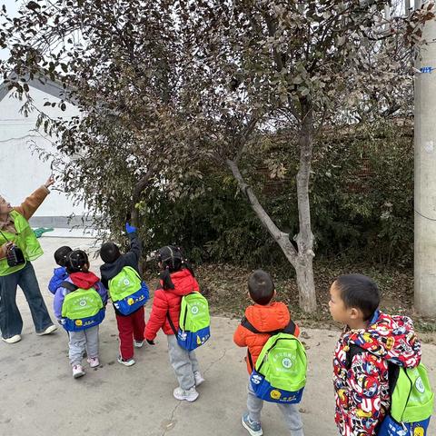 小一班的秋日远足之旅