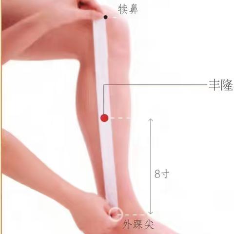 每日一穴——丰隆穴