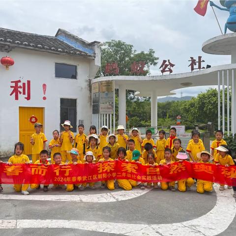 踏春而行 探索自然奥秘 ——武江区朝阳小学社会实践活动