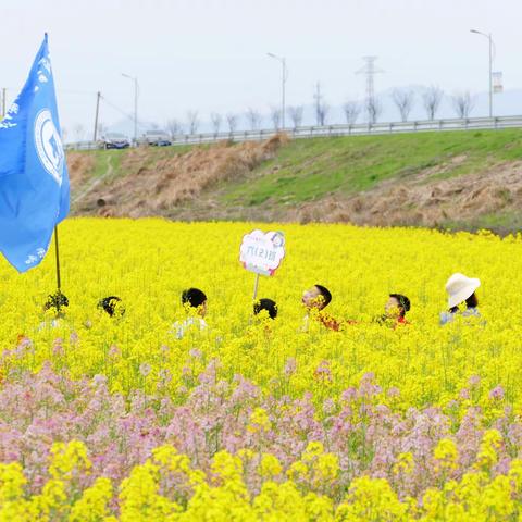 花海觅春乐，研学“正”当时——记六（2）班春游研学活动