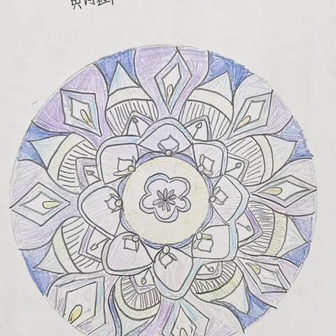 圆之韵：数学与美学的创意共舞