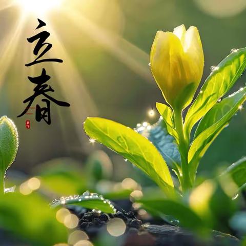 立春始，万物生——柏林南路小学二十四节气之立春
