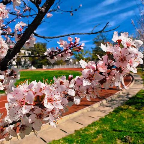 春风送暖，提质增效