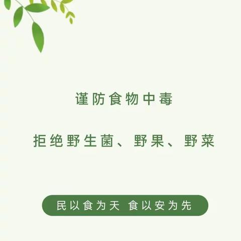 【食品安全】“珍爱生命，严禁食用野生菌野菜野果”——鸡场坪镇椅柯幼儿园2024年春食品安全知识宣传