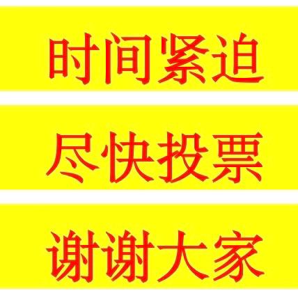 班服号数投票