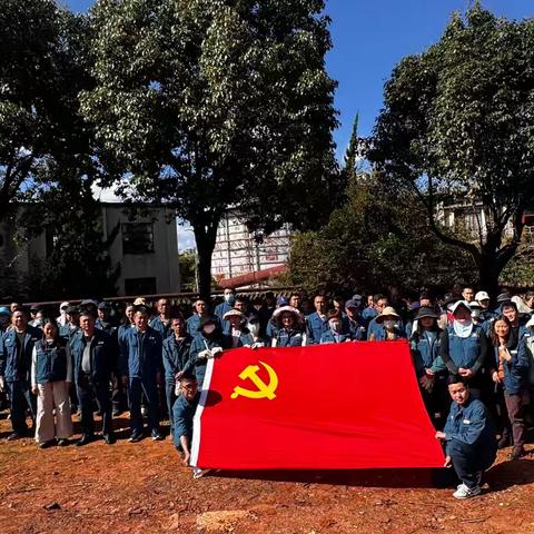 青年突击当先锋 添绿共建展风采