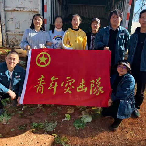 华云商贸青年突击队田间到柜台 直采蔬菜助力商场新年促销火热开场
