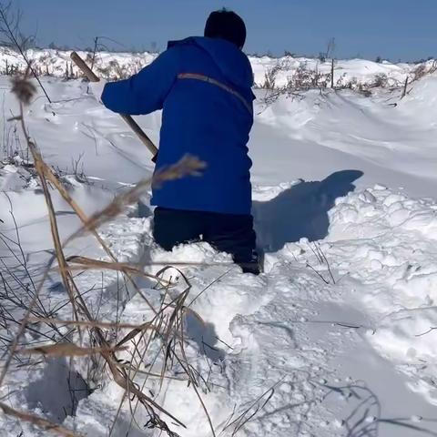 【八屋服务区】平凡的岗位，不凡的奉献！