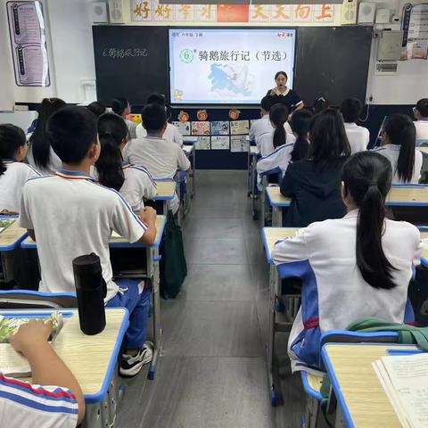 浅谈小学高年级大单元教学的研究——课例研讨《骑鹅旅行记（节选）》