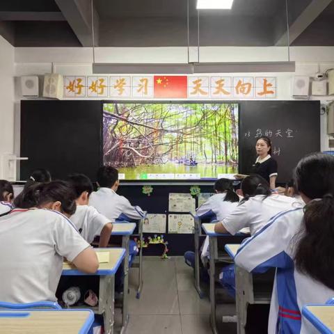 浅谈小学高年级大单元教学的研究——课例研讨《鸟的天堂》