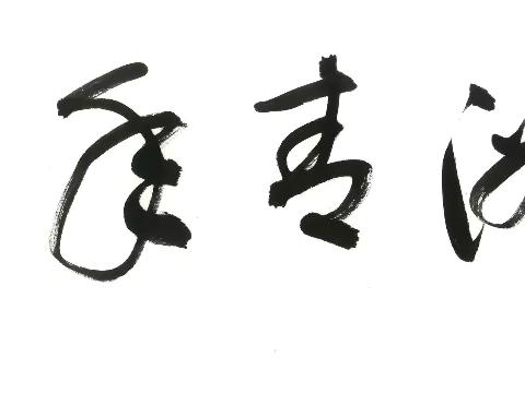 尊重、弘扬中国传统文化，文化强，民族强——旅荷福建同乡联合会隆重举办“父爱‘粽’如山”活动