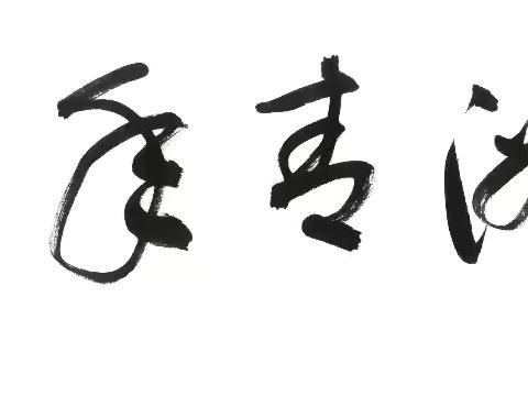 文化交融绽异彩，侨心聚力谱新篇——中德文化交流波恩嘉年华协会仲夏盛会圆满举办