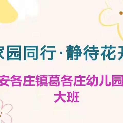 安各庄镇葛各庄幼儿园大班家长开放日半日活动