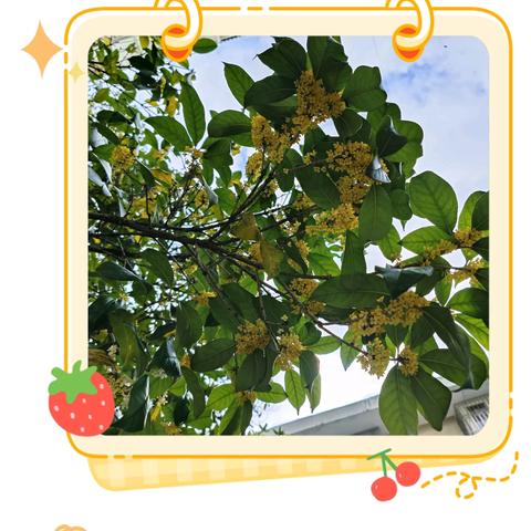 漂亮宝贝幼儿园2024年11月活动纪实