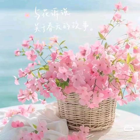 漂亮宝贝幼儿园2025年4月活动纪实