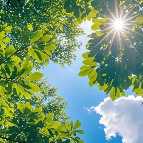 漂亮宝贝幼儿园2025年5月 活动纪实