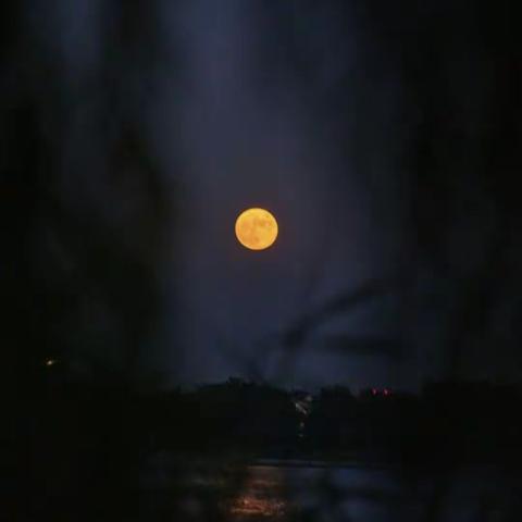 Mid-Autumn Festival