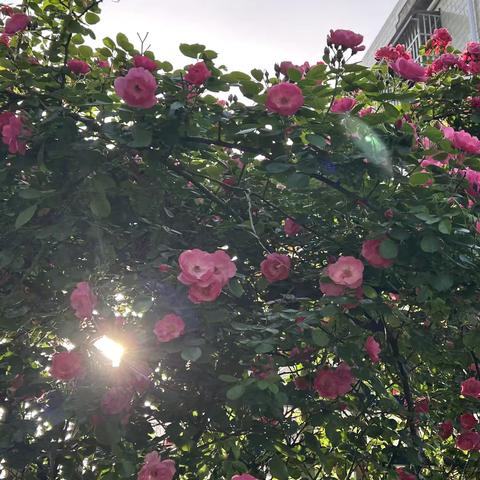 迎接五一 校园生活多姿多彩