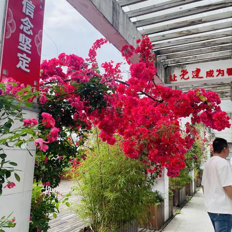 三角花开初夏至 学思践悟共成长——戴乐韵市名师工作室基于思维进阶的教学研究活动