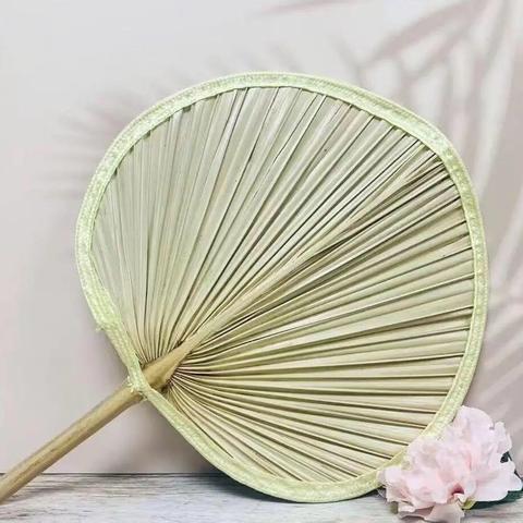 扇动夏日——玉山县保育院小四班生成课程