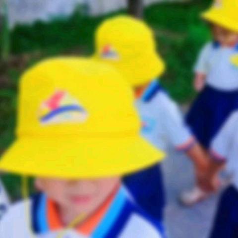 “衔”一缕阳光 “接”美好未来——新星幼儿园“走进小学”幼小衔接活动