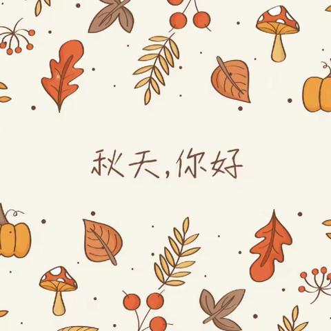 探索馆园——大树二班“邂逅秋天 童享欢乐🍂”十月总结