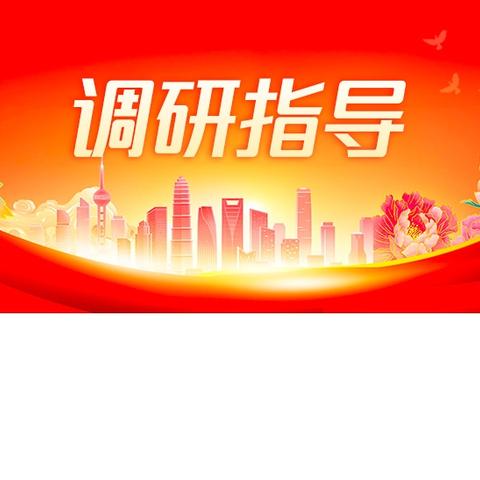 学批示强引领 推战略破难题 保落实促提升——市公司党委委员、副总经理杨风春一行赴定襄开展专项调研