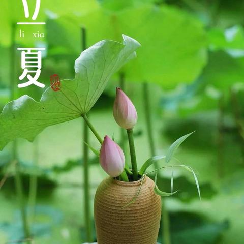 【夏早日初长，南风草木香】——小四班