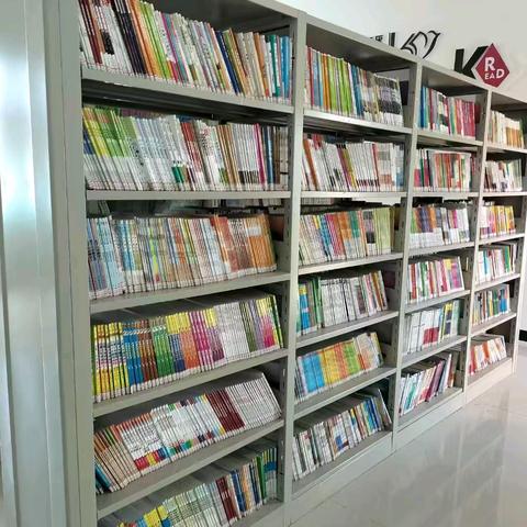 横路中小学图书室排查工作纪实