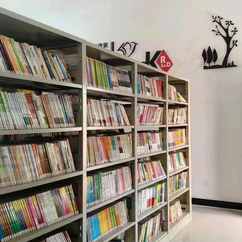 清查课外读物 净化书香校园——乐平市横路中小学开展图书排查活动
