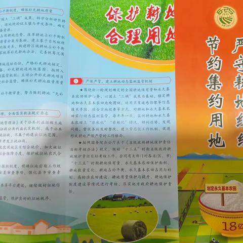 定陶区自然资源局马集所“6·25土地日”集镇宣传活动