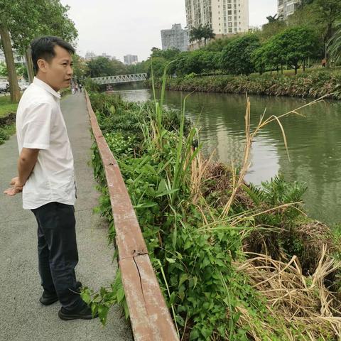 琼山区国兴街道河湖长制日报（2024年5月1日）