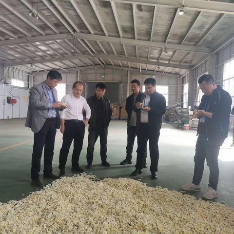 区政协到岳村镇开展乡村振兴视察活动