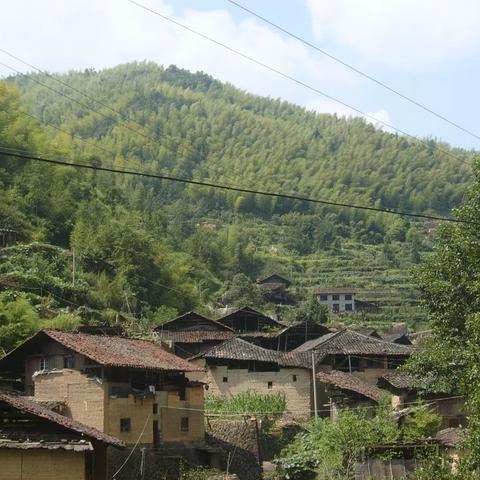 留香掠影（一）胡燕姿供图