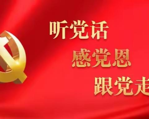 听党话  感恩党  跟党走——开鲁县第三中学八年十一班实践活动