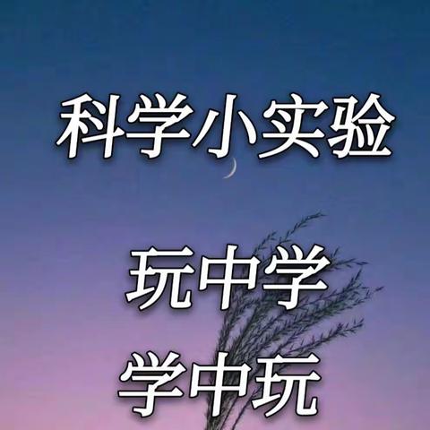 临颍县颍川教育集团颍川校区科学趣味实验社团12月份活动总结