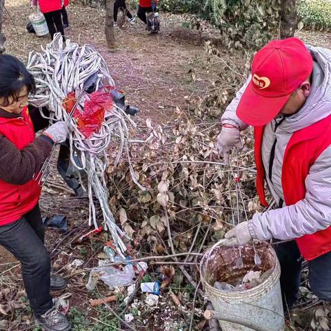 “观音堂镇热火朝天，打造清洁美丽易地搬迁社区，创造舒适美好的人居环境”