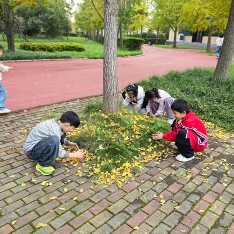 秋日里的树叶魔法