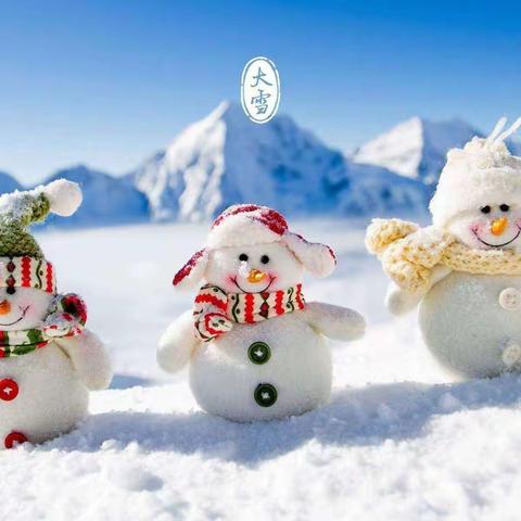 拥抱初雪 满园同乐——小橡树幼儿园玩雪活动