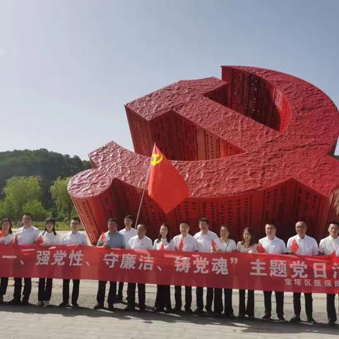 宝塔区医保局党支部开展“庆七一、强党性、守廉洁、铸党魂”主题党日活动