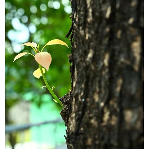 春醒时分，共赴新程