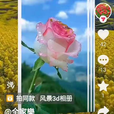 知节气，晓立冬